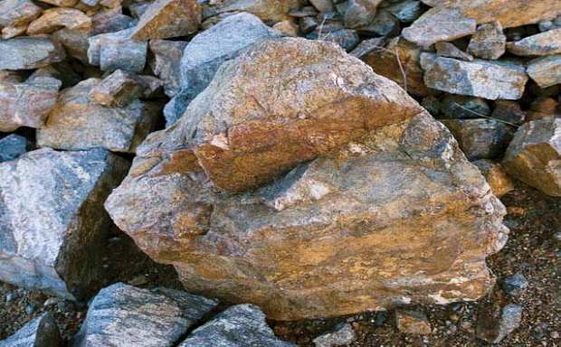 РЕДКОЗЕМЕЛЬНЫЕ